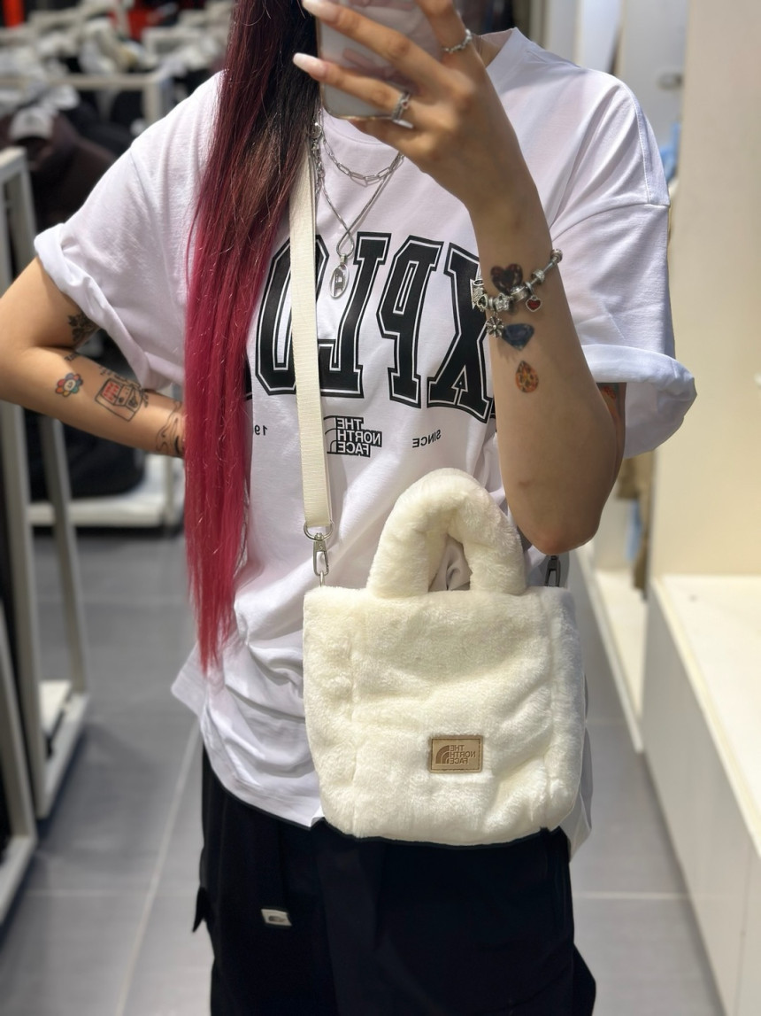☆ザノースフェイス☆ PLUMPY TOTE BAG MINI ミニ トートバッグ